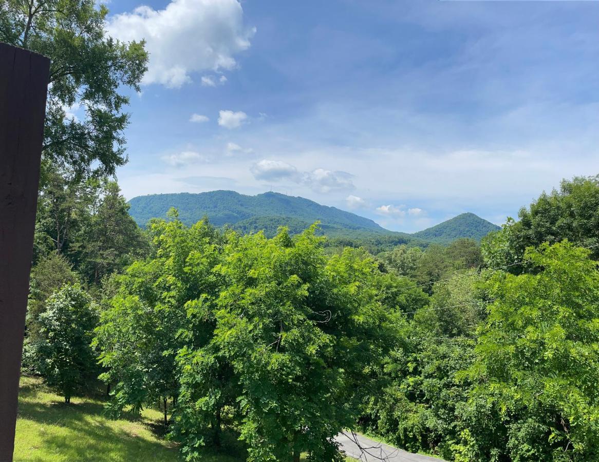 Villa Bear Doodle Sevierville Esterno foto